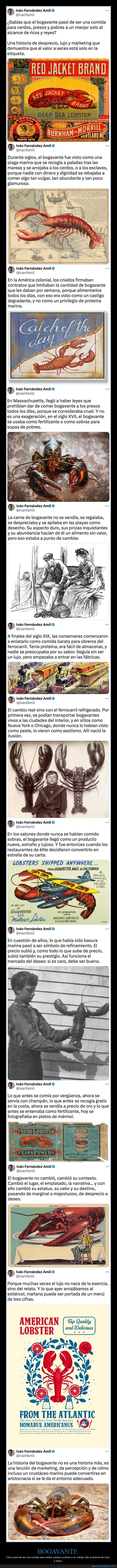 bogavante,comida